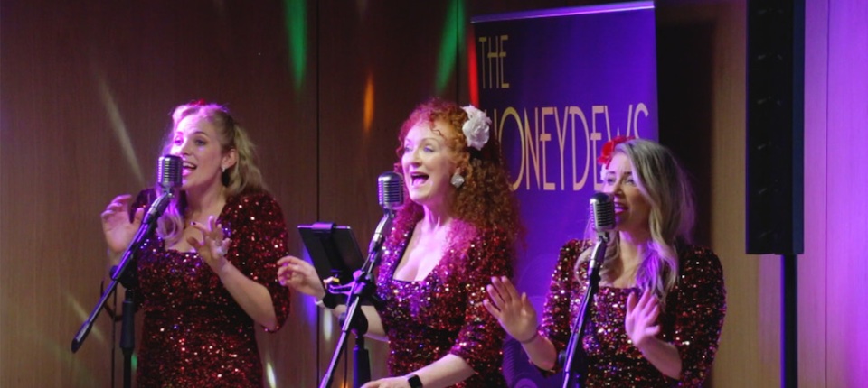 The Honeydews trio in performance